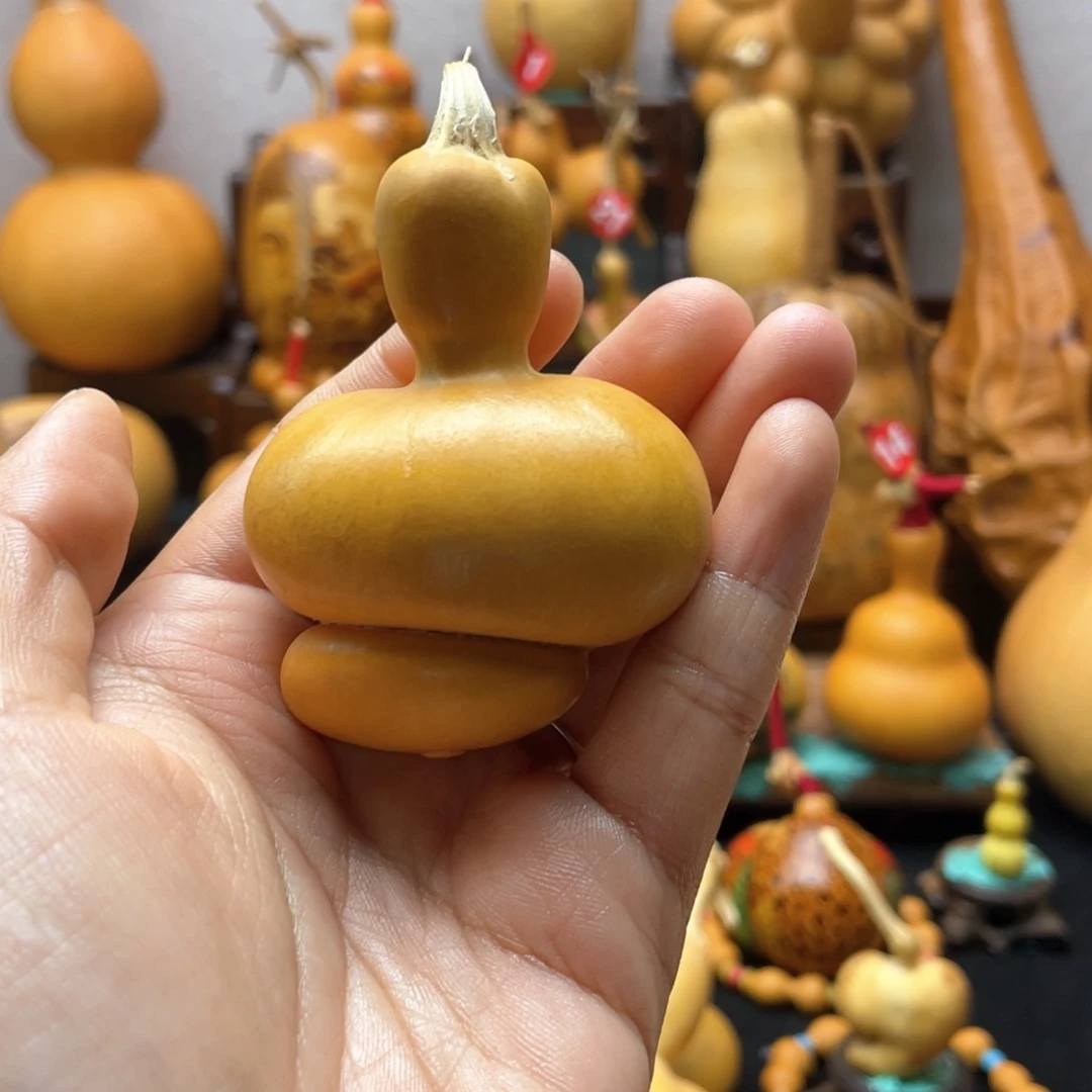 ?**?大自然的秘密第十一节课