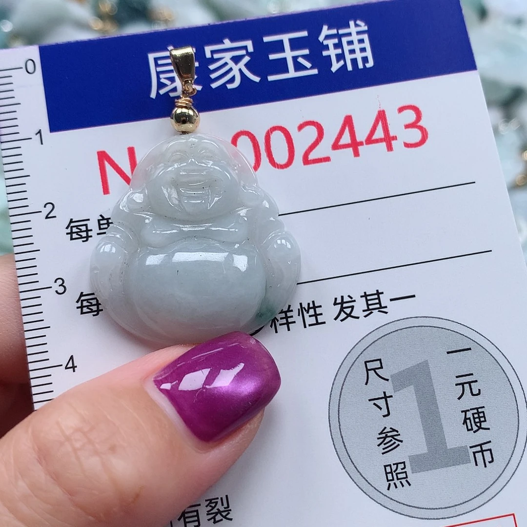 颈饰未镶嵌翡翠v