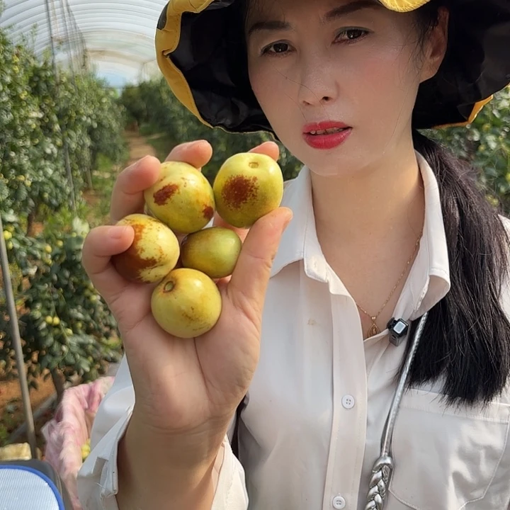 红枣云南蜜罐枣6斤大中混装顺丰包邮到家