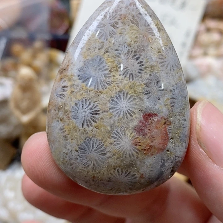 硅化珊瑚（珊瑚玉）未镶嵌颈饰有瑕