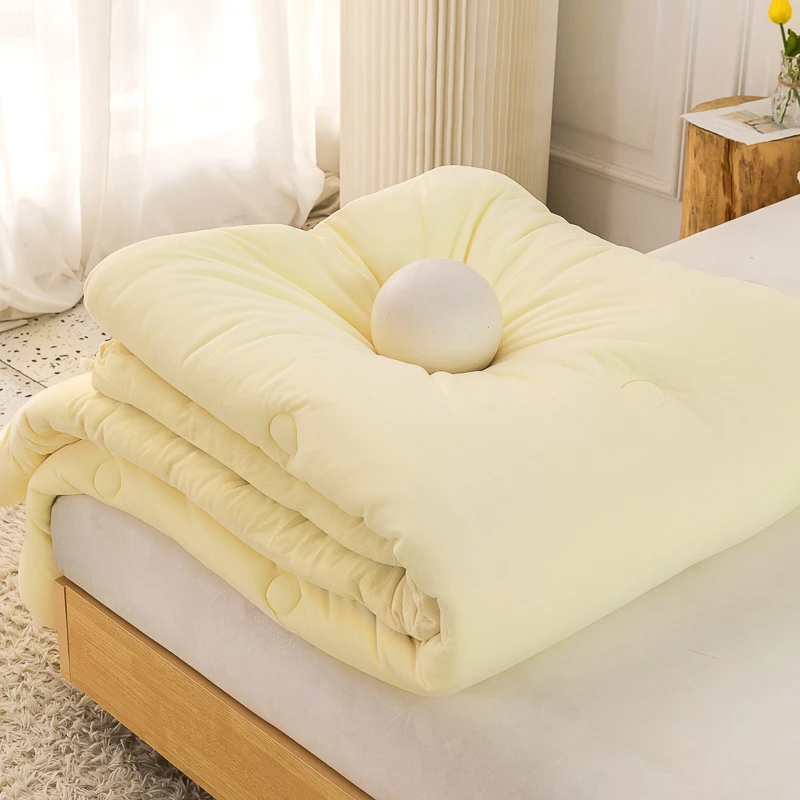 加厚速暖冬被加厚保暖被子被芯