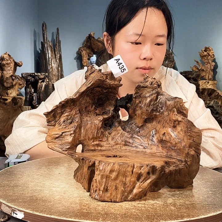 茶盏e*435株木随行的小根艺