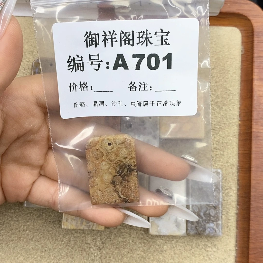 硅化珊瑚（珊瑚玉）z未镶嵌L***理