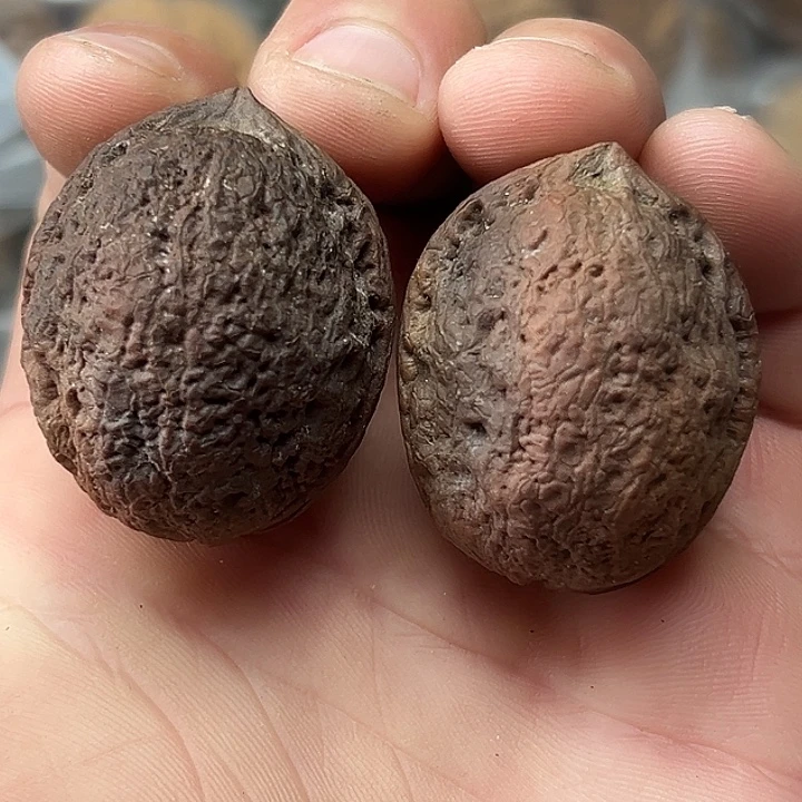 把件文玩核桃2号花彩小罗汉35尺