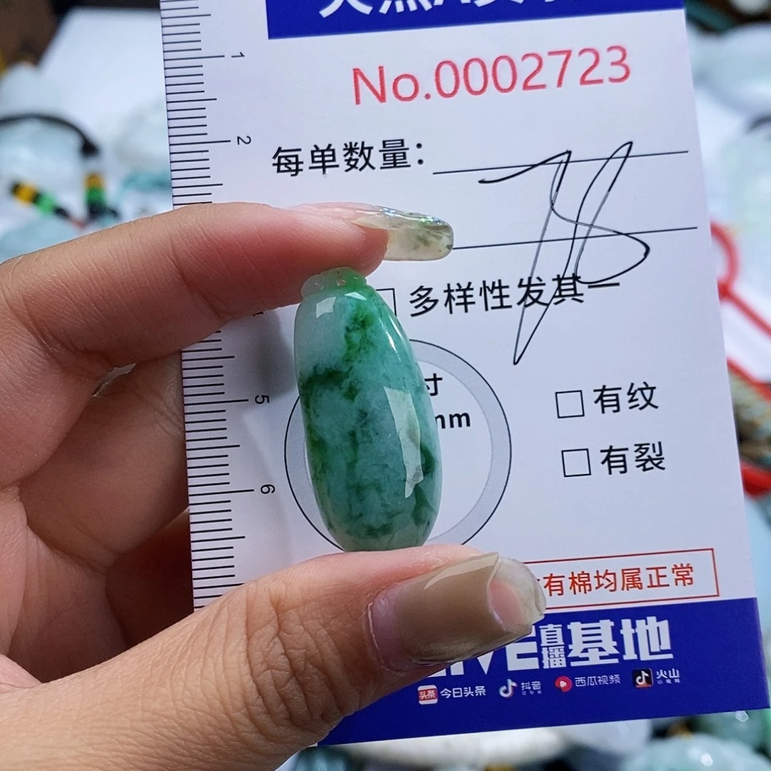 翡翠未镶嵌颈饰2723