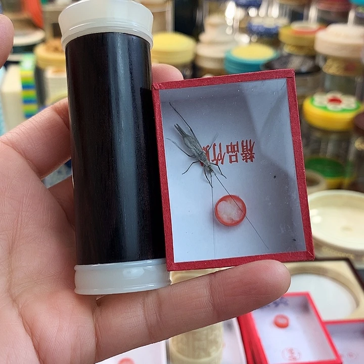 d***u带紫竹一只套装啊啊啊