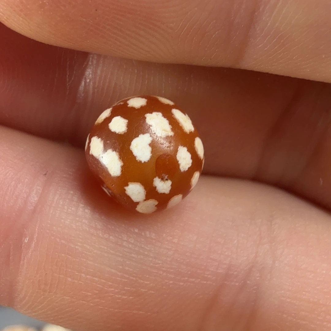 老*古珠直发专用链接