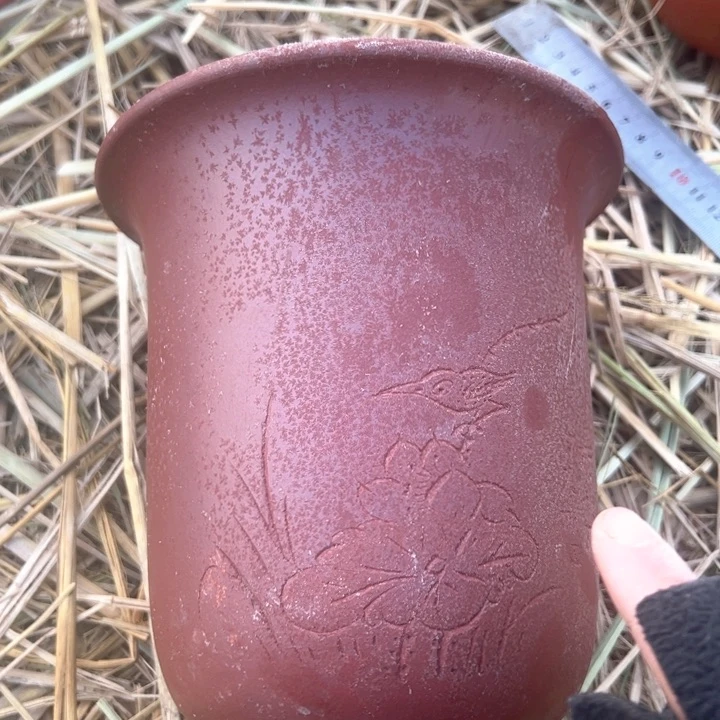 红陶紫砂兰花盆微信