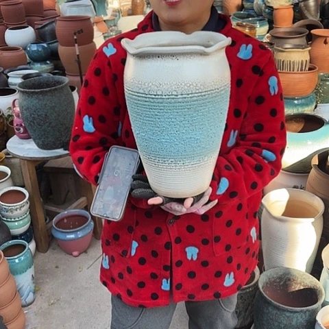 口20高31瑕疵一个盆子。