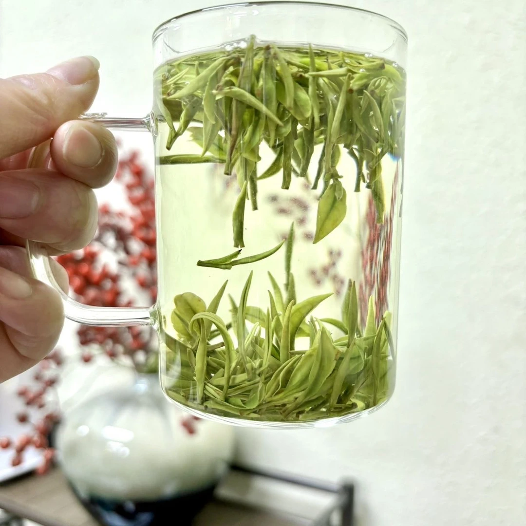 2025明前头采兰香奶白茶好喝