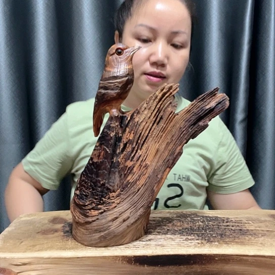 *****百年树的树种是什么