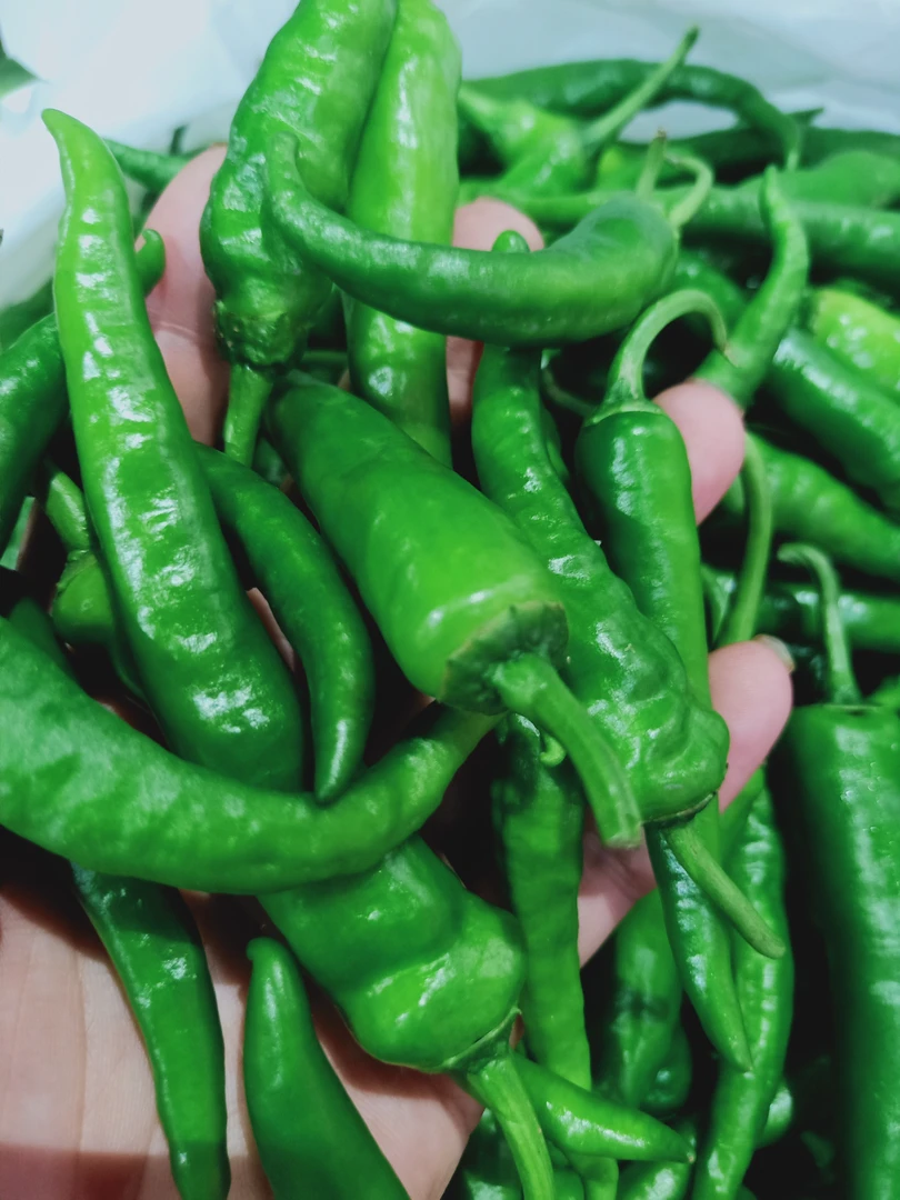 新鲜采摘农家露天薄皮辣椒现摘现发适合做虎皮椒