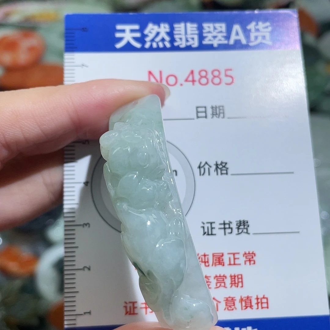 翡翠未镶嵌挂件4885