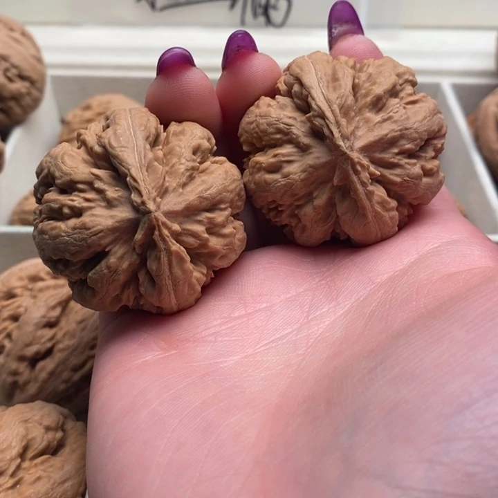 侯***柜文玩核桃吊坠霸王龙