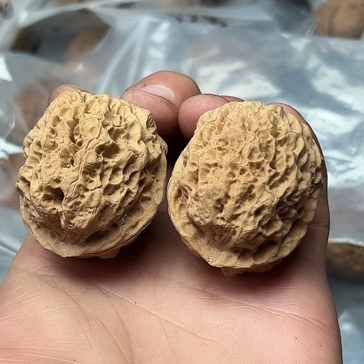 核桃52号星陨蟾39尺