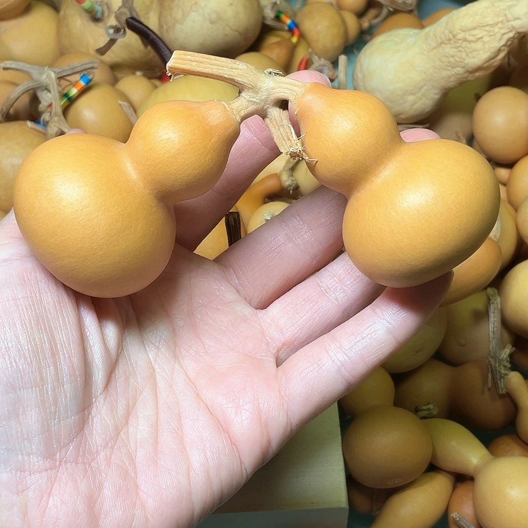B****?老皮厚皮响籽连枝