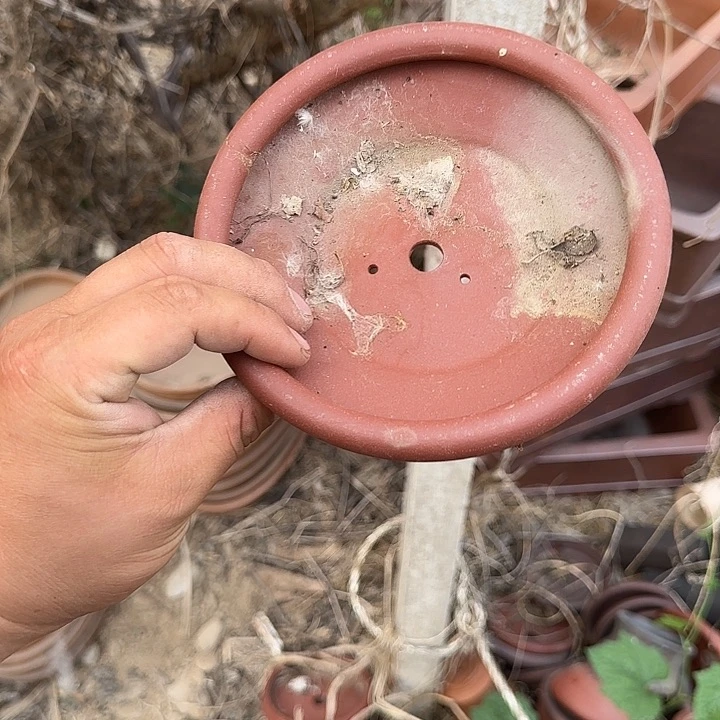 这就是为什么不可以说呢还是因为这个