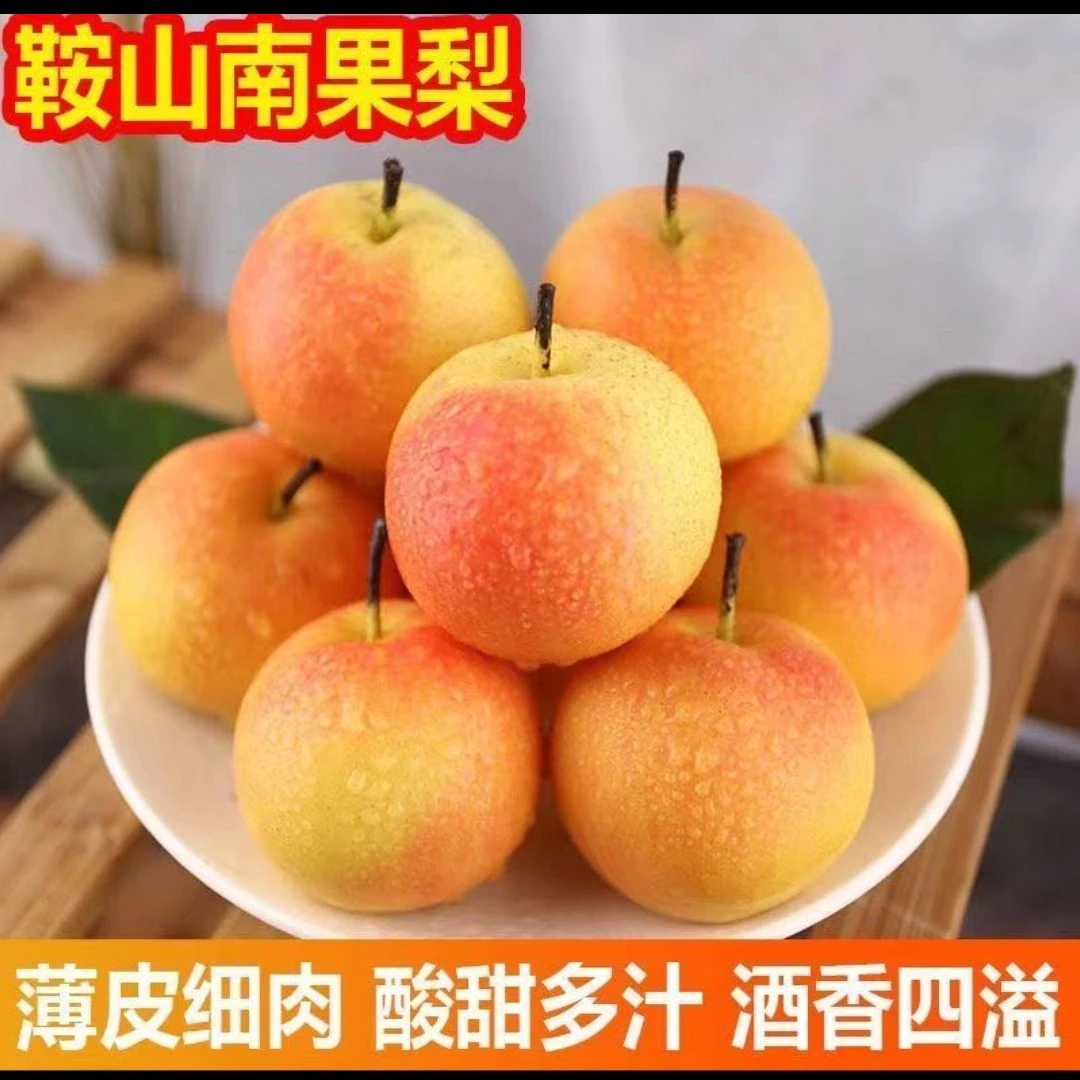 东北特产南果梨，新鲜采摘，现在发货，软嫩多汁，香味十足