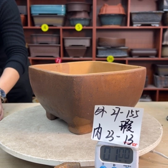 F***特紫砂花盆中香气浓重