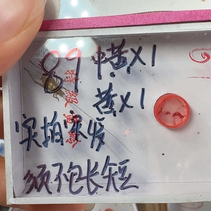再***首蟋蟀蝈蝈我在外面11111