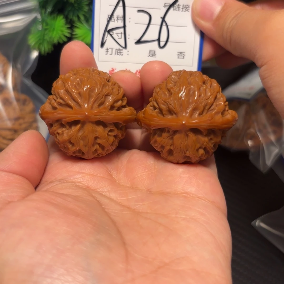 核桃其他狮子头在