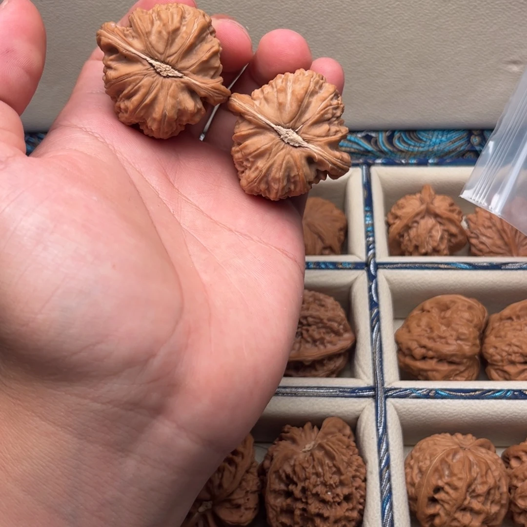 42白狮子小牛对原桩