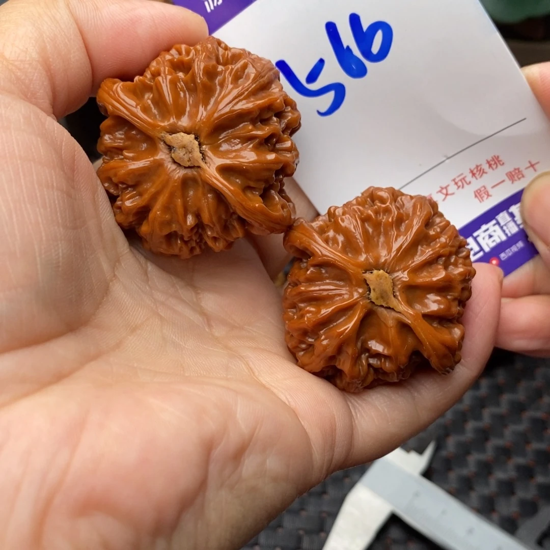 文玩核桃把件核桃