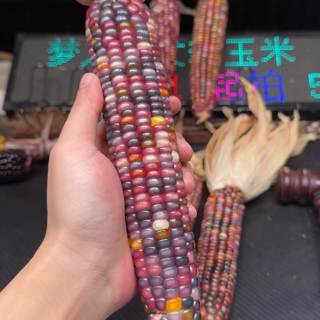 長****柏香籽/百香籽吊坠