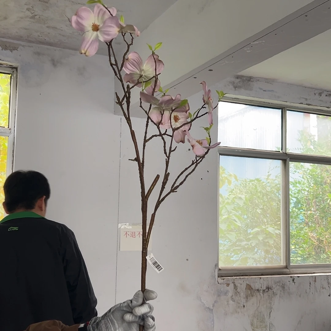 抖音直播间瑕疵一只