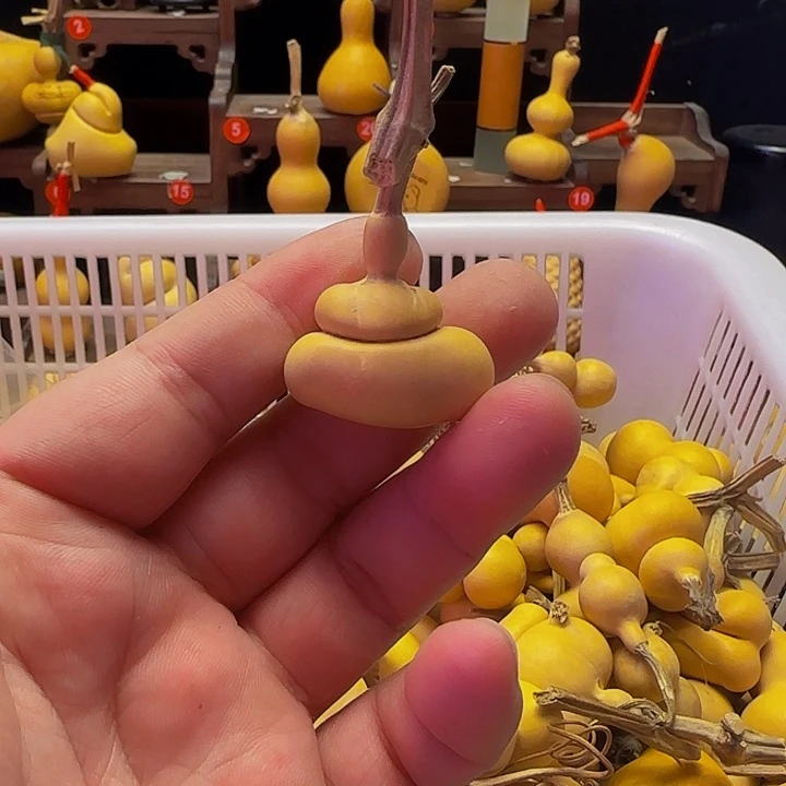 断****～你要学会了呢