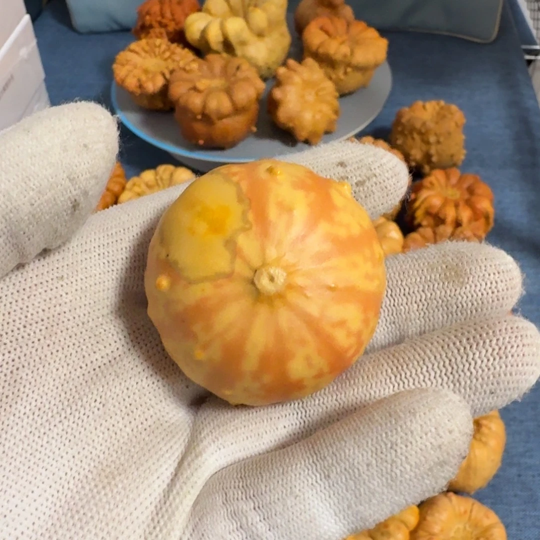 A***A葫芦墨西哥七彩疙瘩葫芦手把件