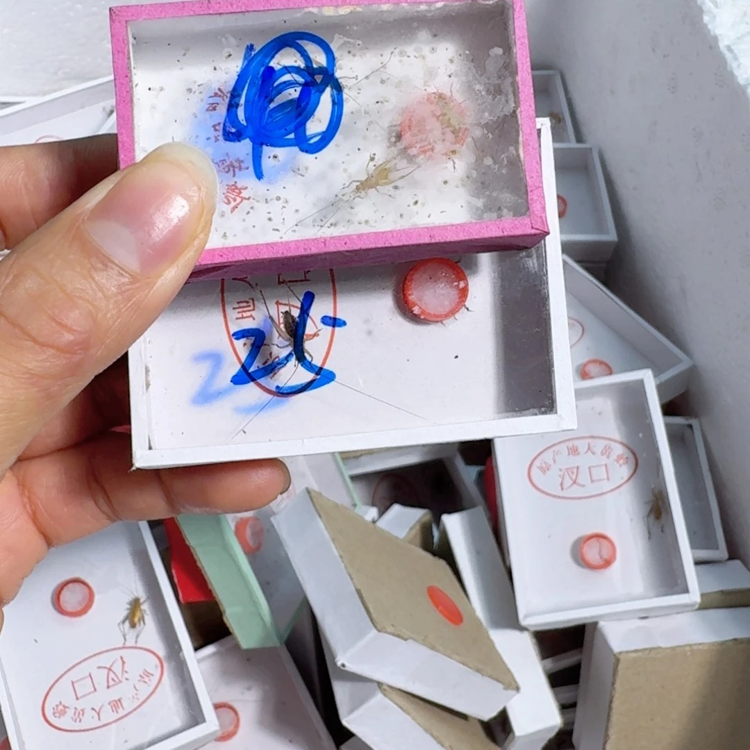 用***3蟋蟀蝈蝈你在哪呢你现在干