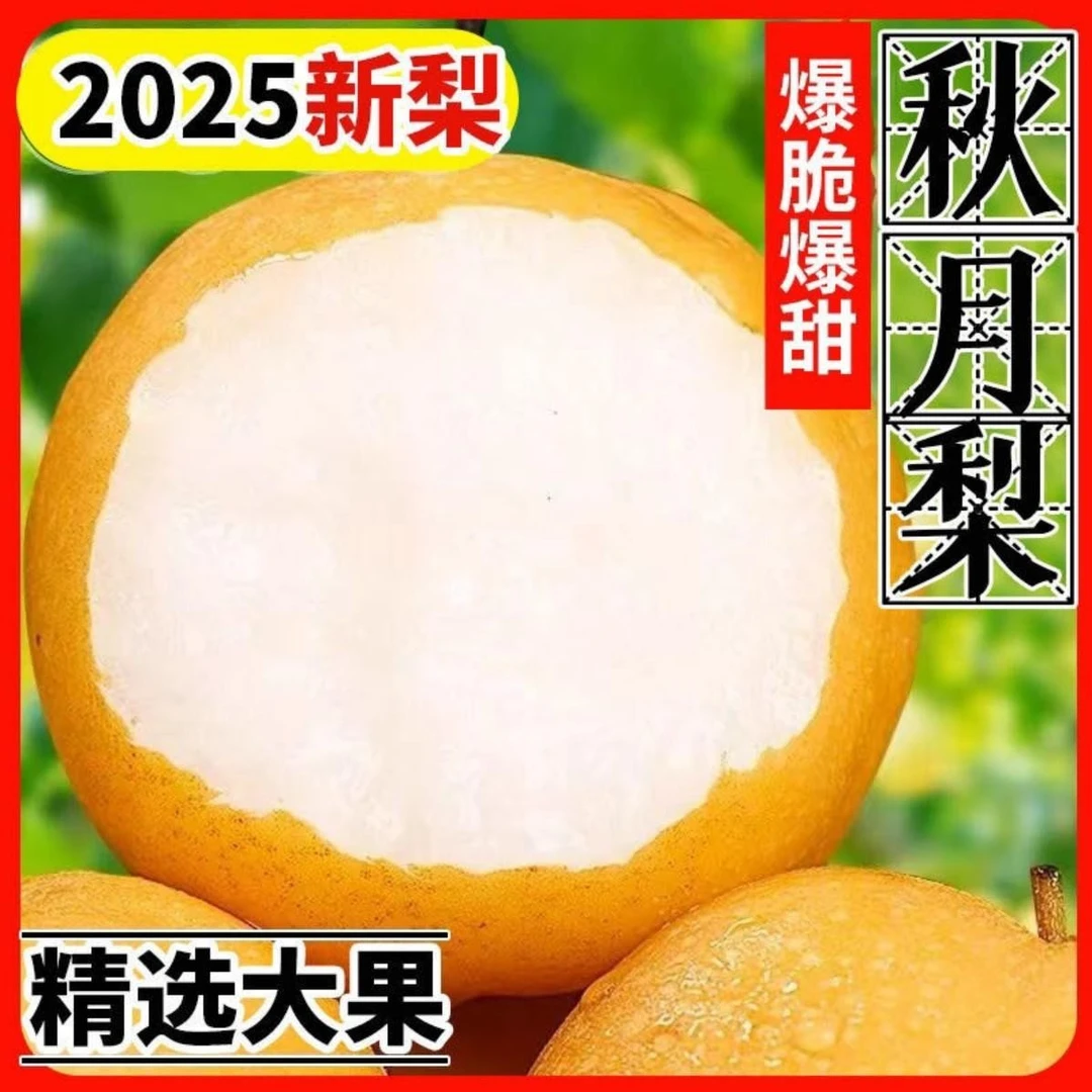 【10斤特大果】头茬现摘秋月梨清甜流汁多汁现摘现发果园直发5/9斤Q