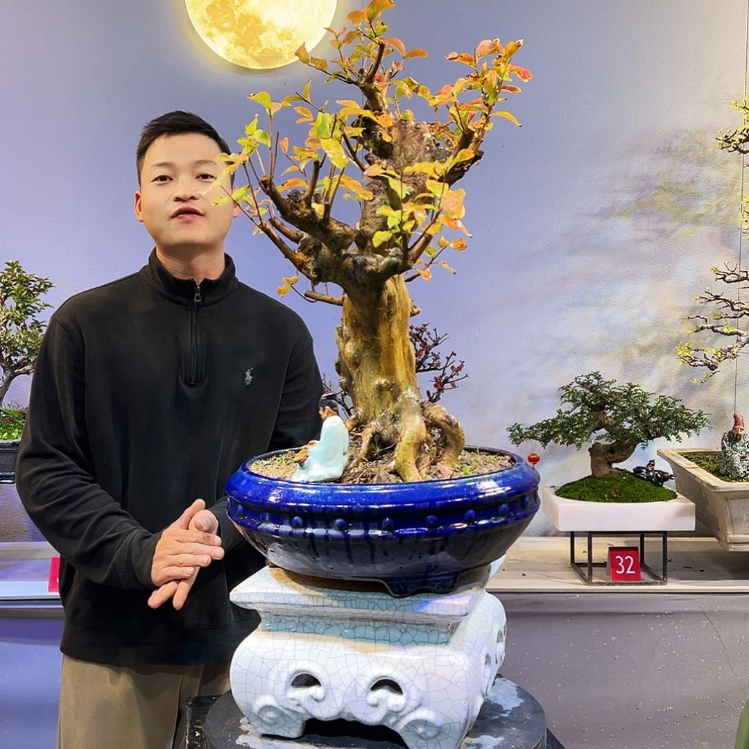见****无花朵精品老桩红花紫薇