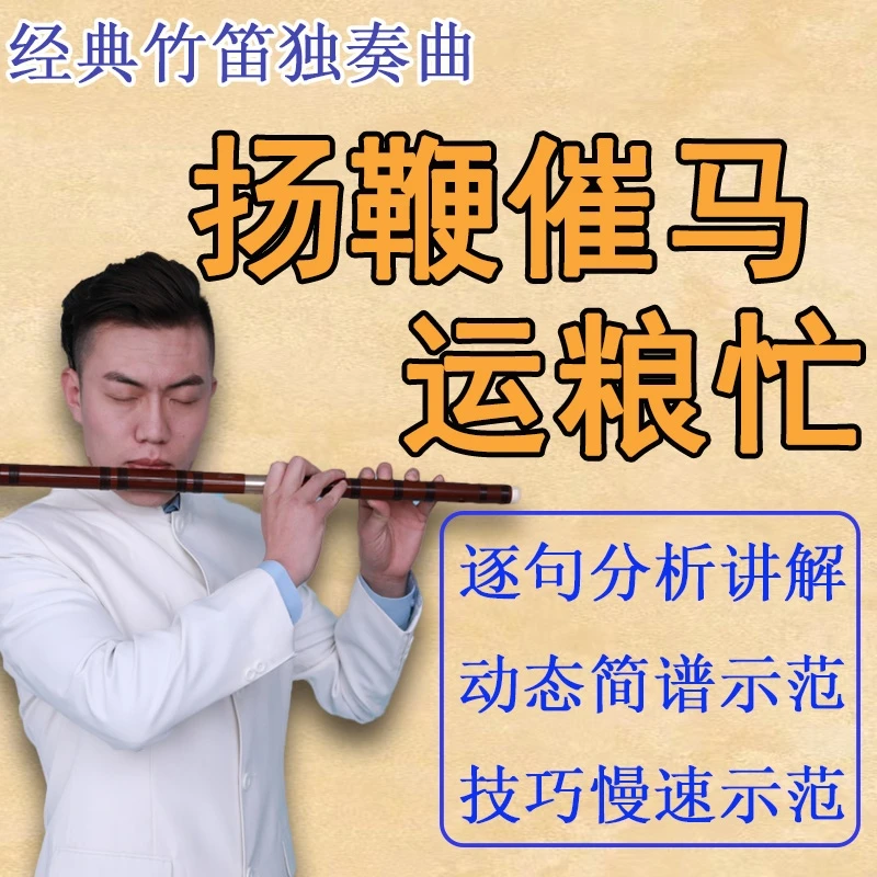 《扬鞭催马运粮忙》逐句精讲、示范课程（视频课，非实物）