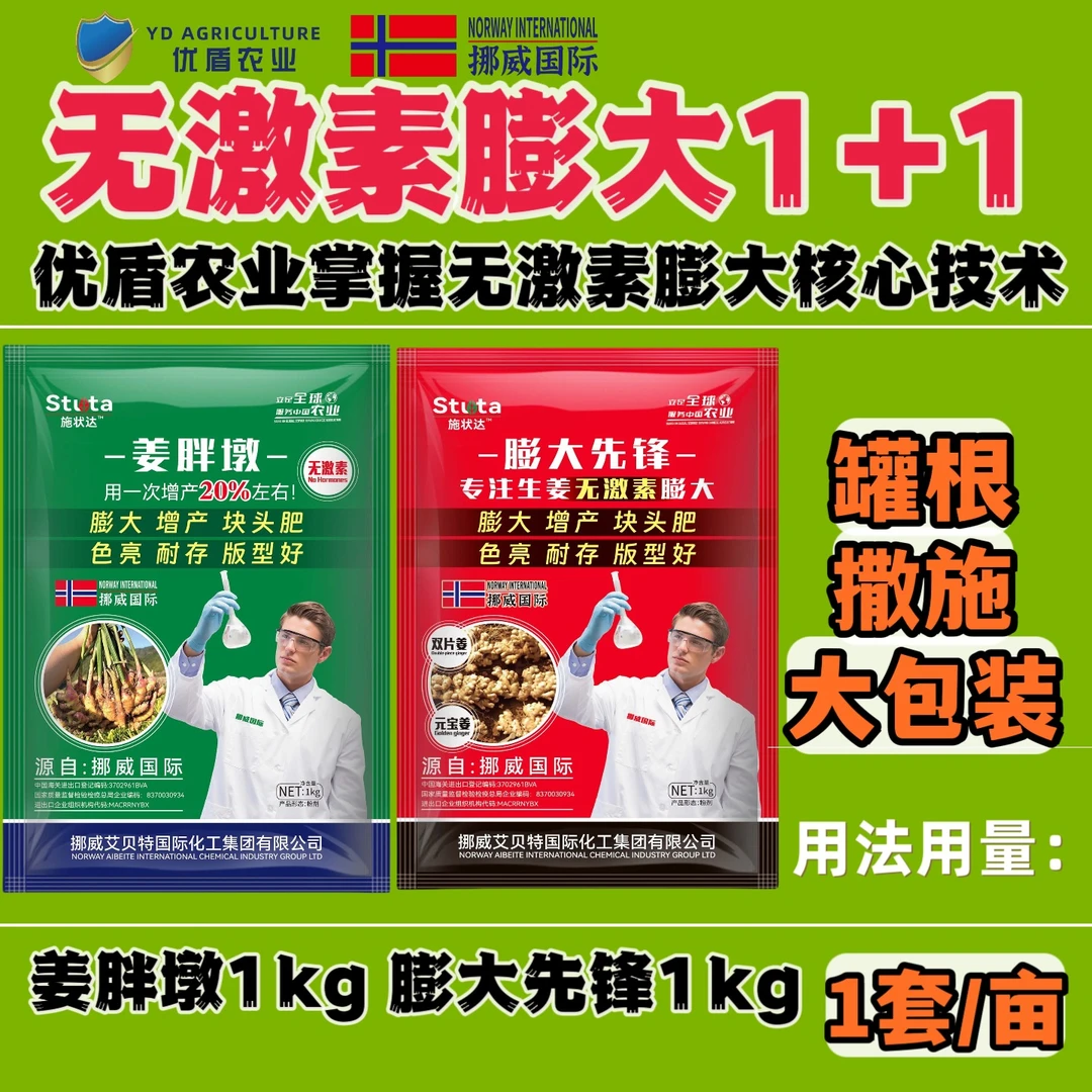 生姜增产膨大配方促进块茎增大控旺生长生姜膨大增产生姜控旺膨大
