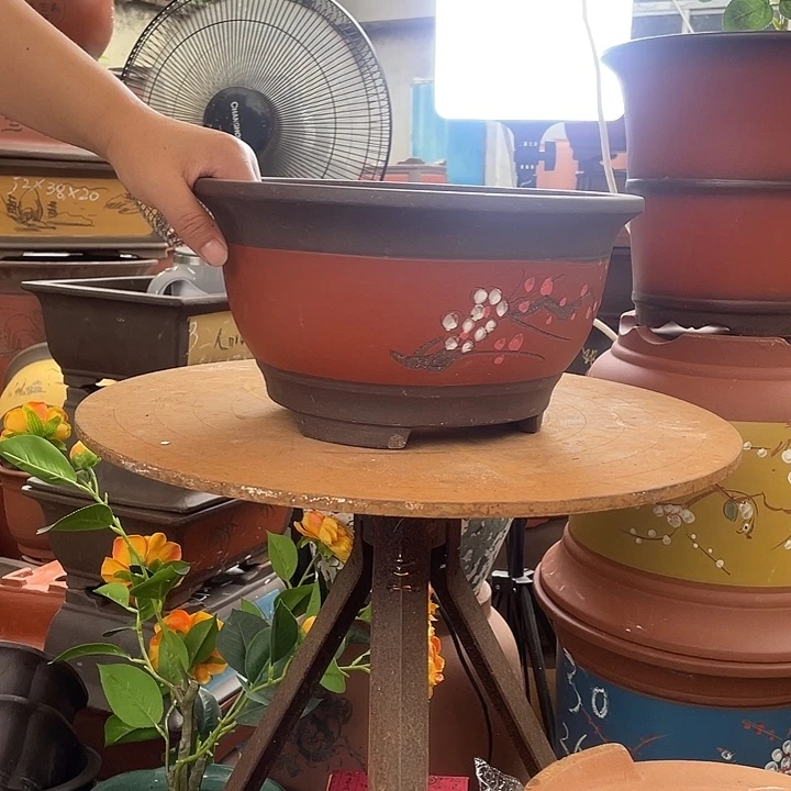 红富贵点菜大花盆紫砂