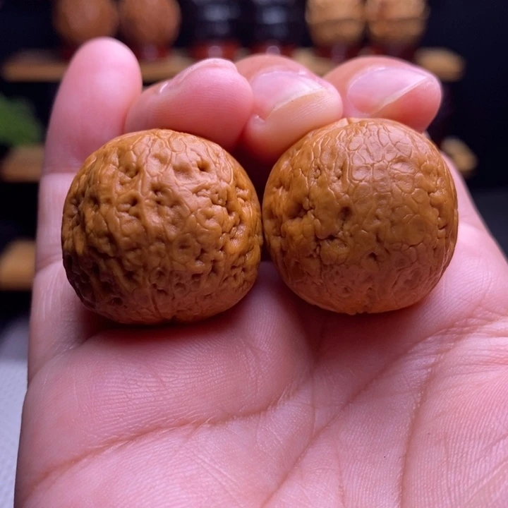 木质类云铁龙珠8号