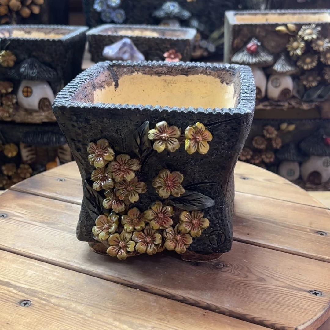 青藤多肉花盆百搭