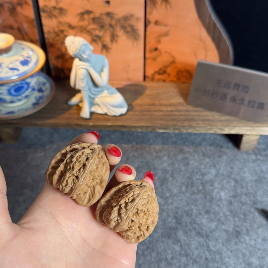 全品40老树白狮子