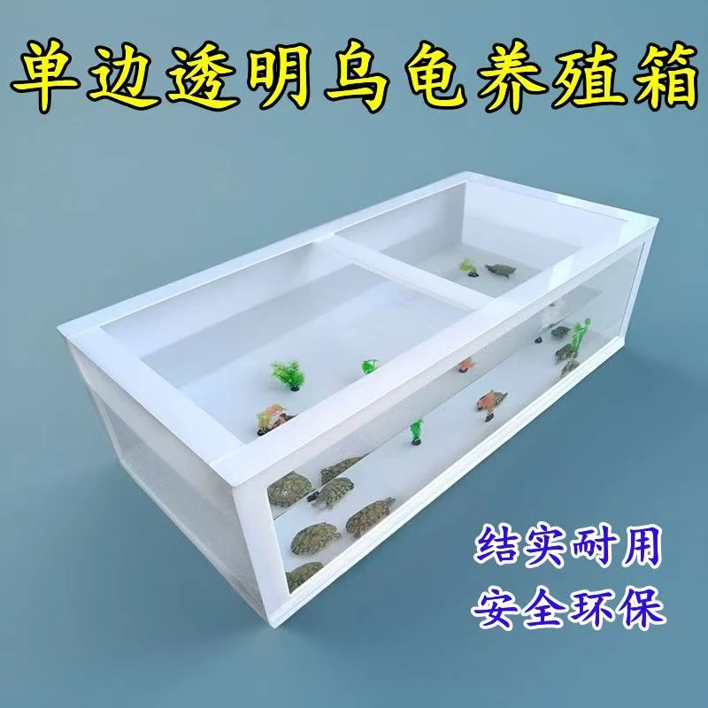 可视化高清单面玻璃PP胶龟箱鱼箱