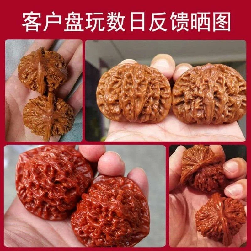 文玩核桃狮子头麒麟纹官帽机刷打底核桃盘玩满天星核桃红皮原生态