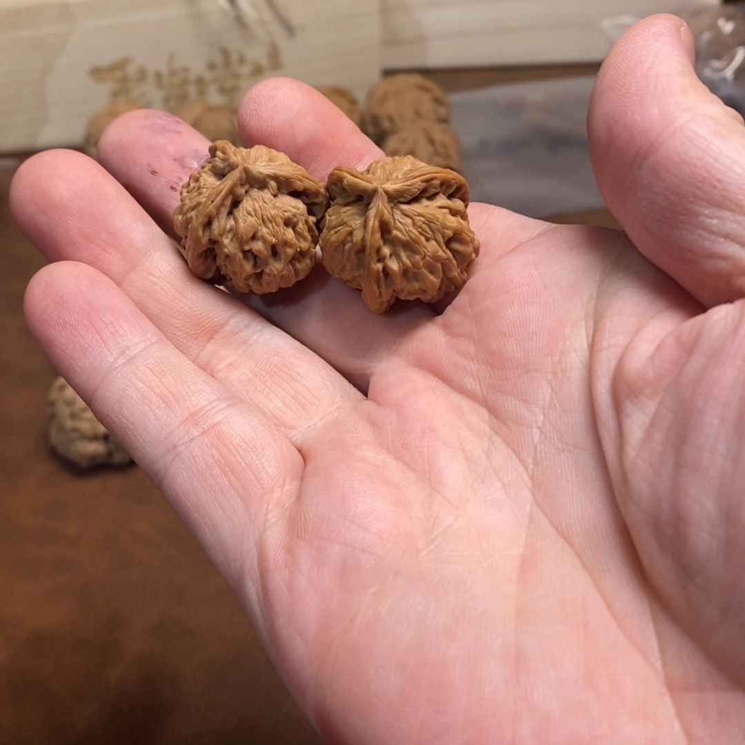 手串金刚菩提2.9正奔