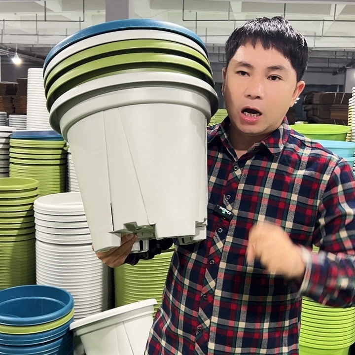 正品青山口40高35果绿色5个无托