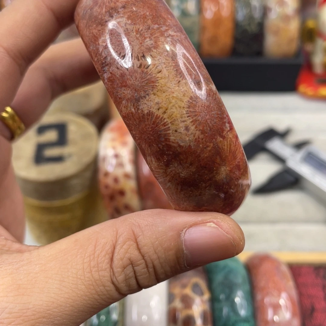 未镶嵌手镯硅化玉