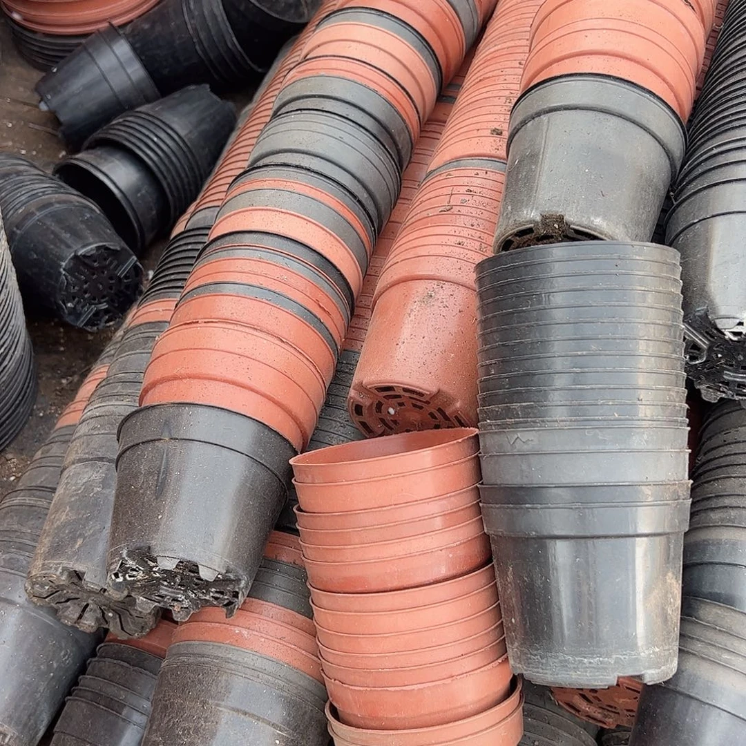 黑红无边矮胖盆10口径8高 60个