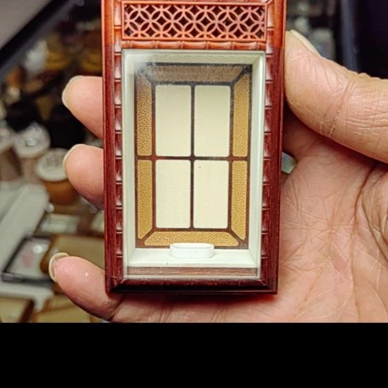 明***亮虫虫具好好好好好好好好好好好好好好好好