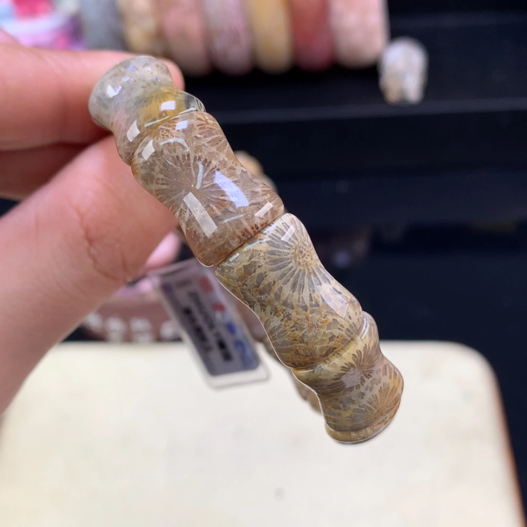 硅化珊瑚（珊瑚玉）未镶嵌颈饰2号竹节大花花