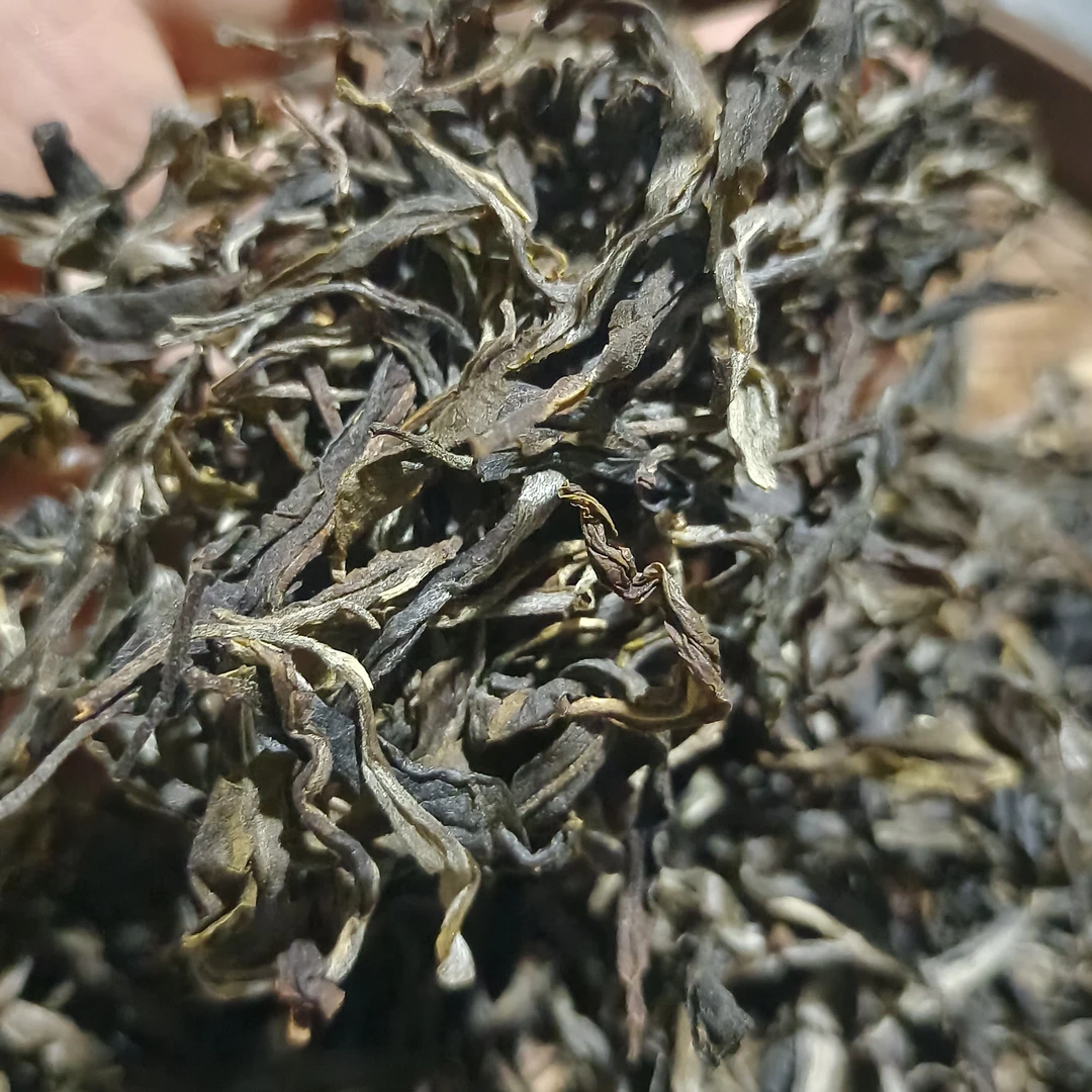 2022坝气山古树生茶散料