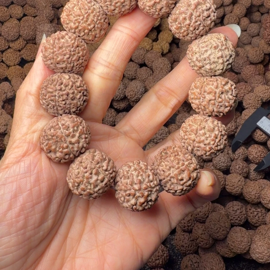 金刚菩提手串8瓣卡21尺，112号